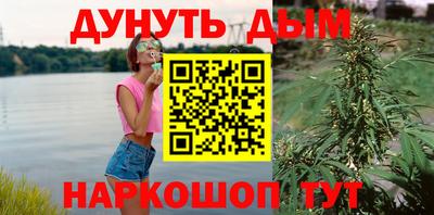стаф Ливны