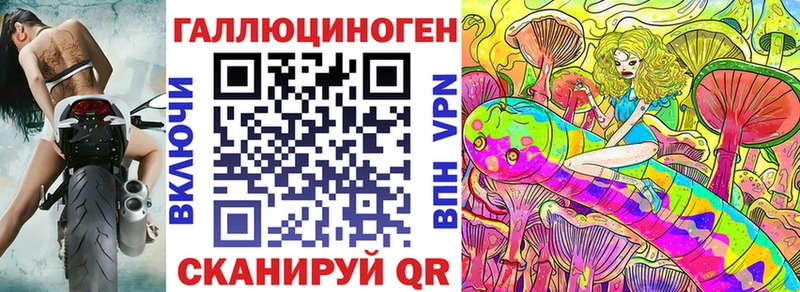 Псилоцибиновые грибы GOLDEN TEACHER  наркота  Пятигорск 