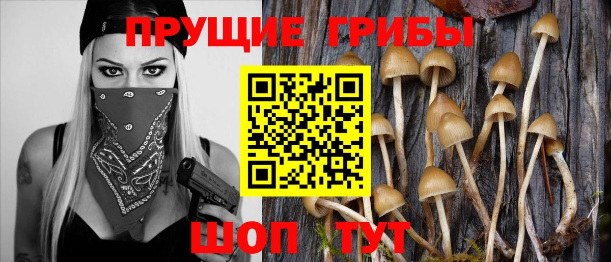 Псилоцибиновые грибы Psilocybine cubensis  Вход с VPN  Пятигорск 