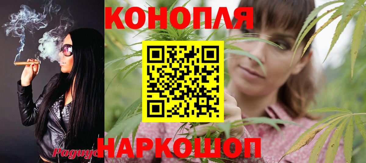 Бошки Шишки OG Kush Пятигорск